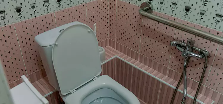 Meeting Diverse Needs With Accessible Restroom Solutions in Godfrey, IL